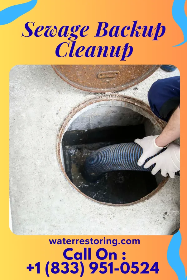 Sewage Backup Cleanup in San Benito, TX